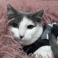 Photo of 💕 Milli 6181 💕