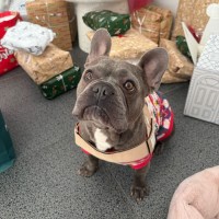 Photo of Blue