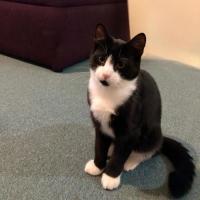 Photo of Jake & Jasper 💙