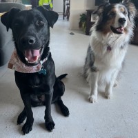 Photo of Karma
