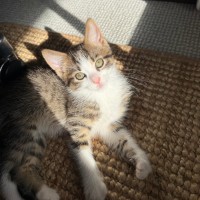 Photo of Harry