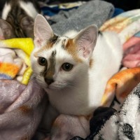 Photo of Ivy