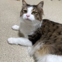 Photo of Oscar