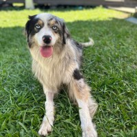 Photo of Mitzy 