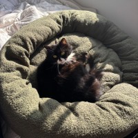 Photo of Nellie 🌺