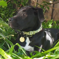 Photo of Superior Winston