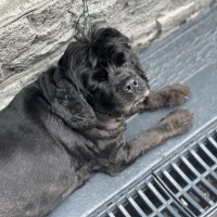 Photo of Tammy 🐶😍🦋