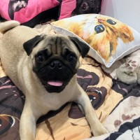 Photo of Bruce