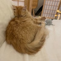 Photo of Claudia