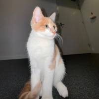 Photo of Bingo