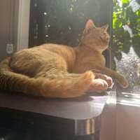Photo of Prince Harry