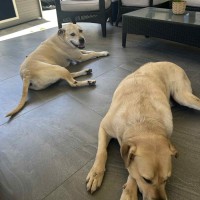 Photo of Cognac And Teddy