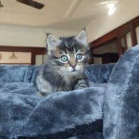 Photo of Ms Einstein