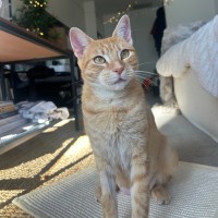 Photo of Hester