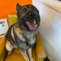 Photo of Duke