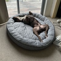 Photo of Bucky