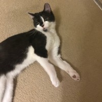 Photo of Willy Wobbla