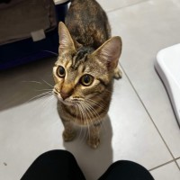 Photo of Clementine