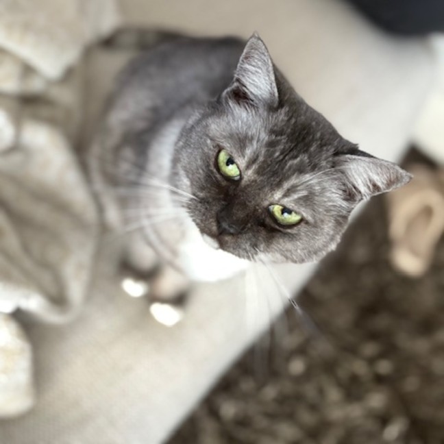 Photo of Mila   Located In Melbourne