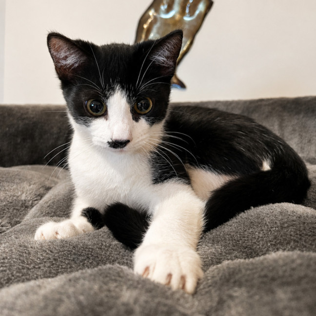 Photo of Zip