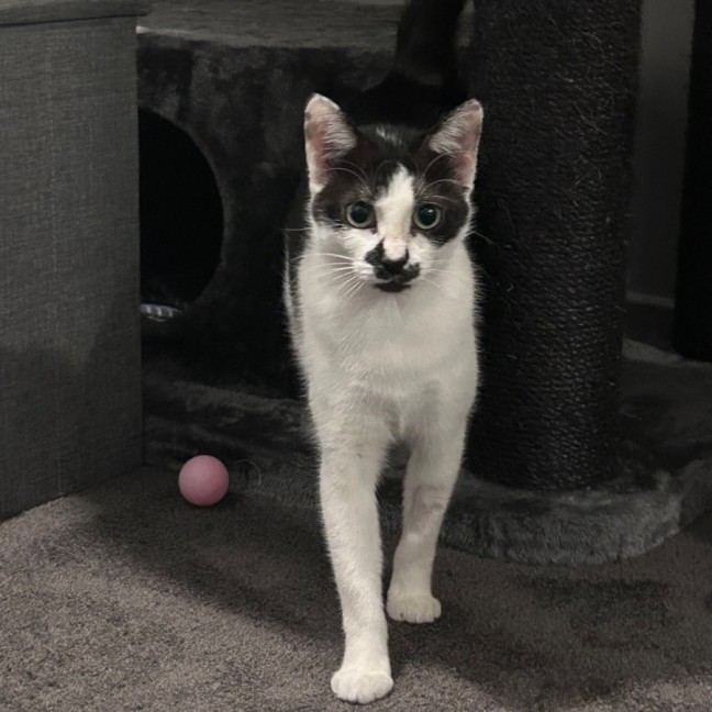 Photo of Gracey 💗