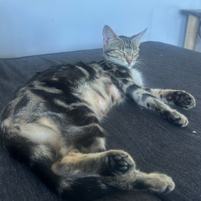 Photo of Mercury