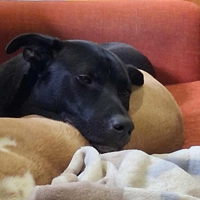 Photo of Walter