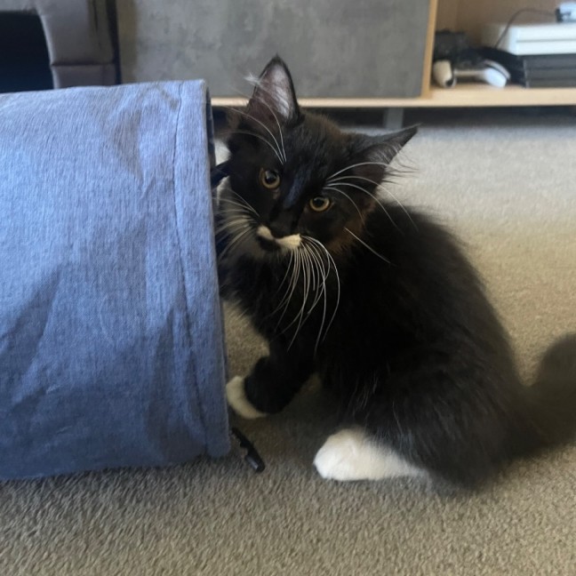 Photo of Mo
