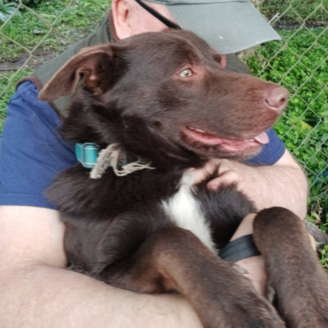 Photo of Indy
