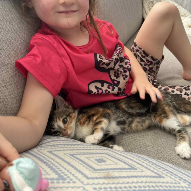 Photo of Piper 😽😽😽🌸