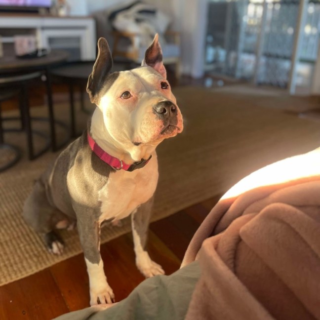 Photo of Susie