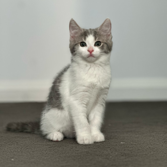 Photo of Kiara 🌺🌺🌺