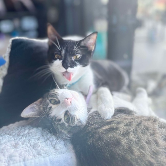 Photo of Sinead & Christy  