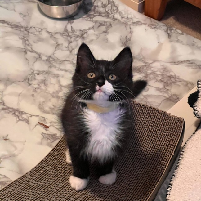 Photo of Dennis & Dot 