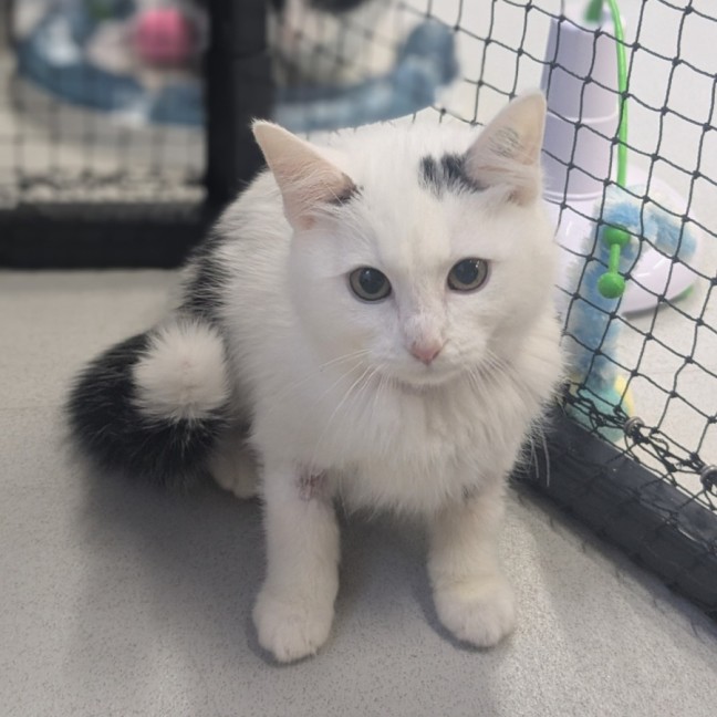 Photo of 🍨 Souffle 5807 🍨