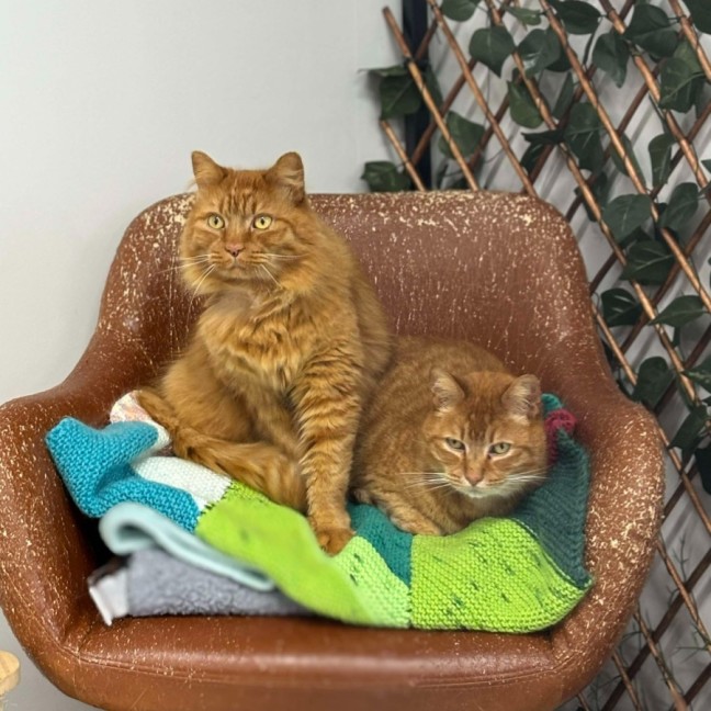 Photo of 🧡 Ed 5587 🧡