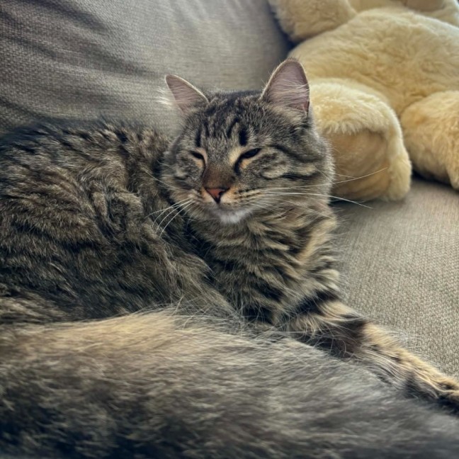 Photo of Prue