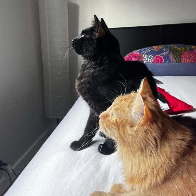 Photo of Genevieve & River