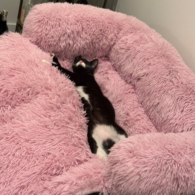 Photo of Beanie