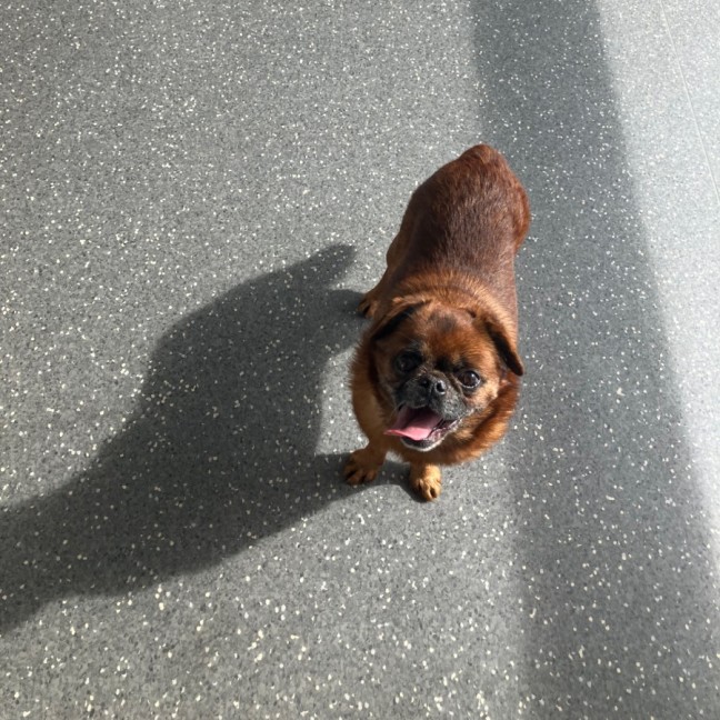 Photo of Arthur