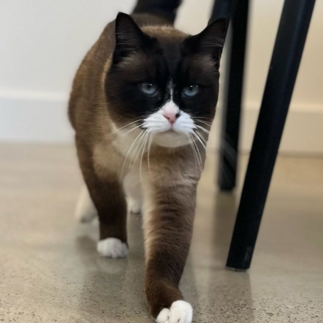Photo of Tom