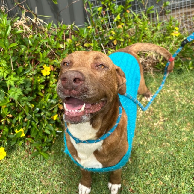 Photo of Gus