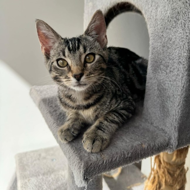 Photo of Liza   Located In Armadale