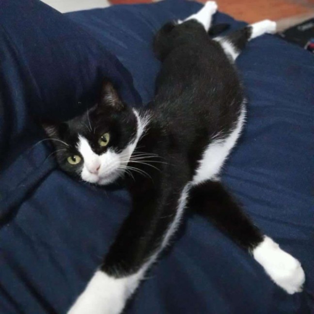 Photo of Wilma