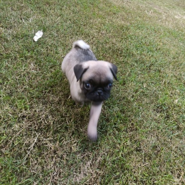 Photo of Harold