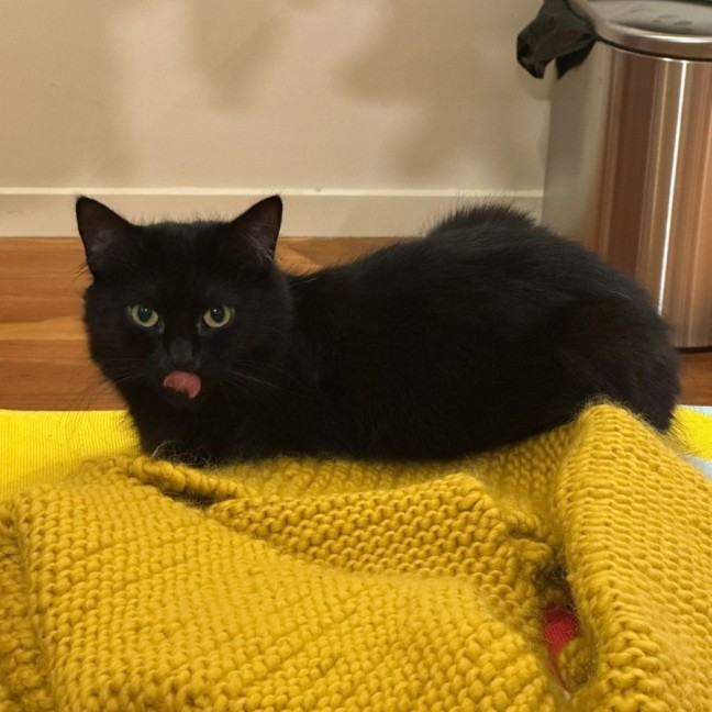 Photo of Inky