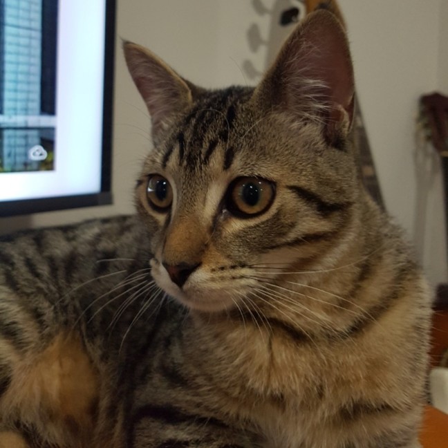 Photo of Pete