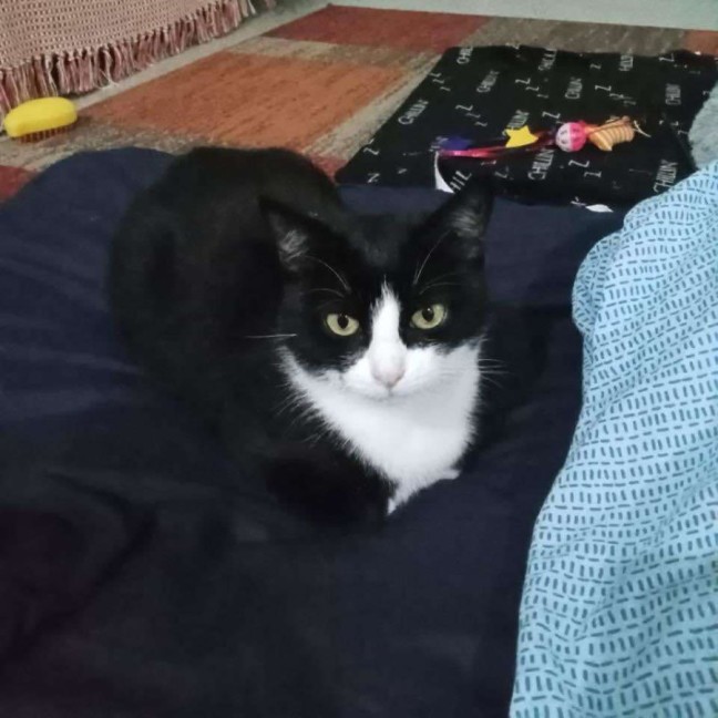 Photo of Wilma