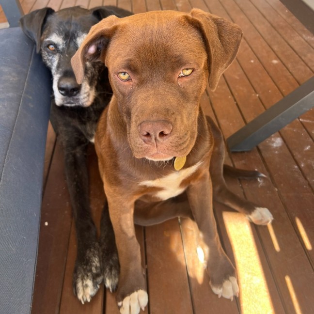 Photo of Christopher Robbin