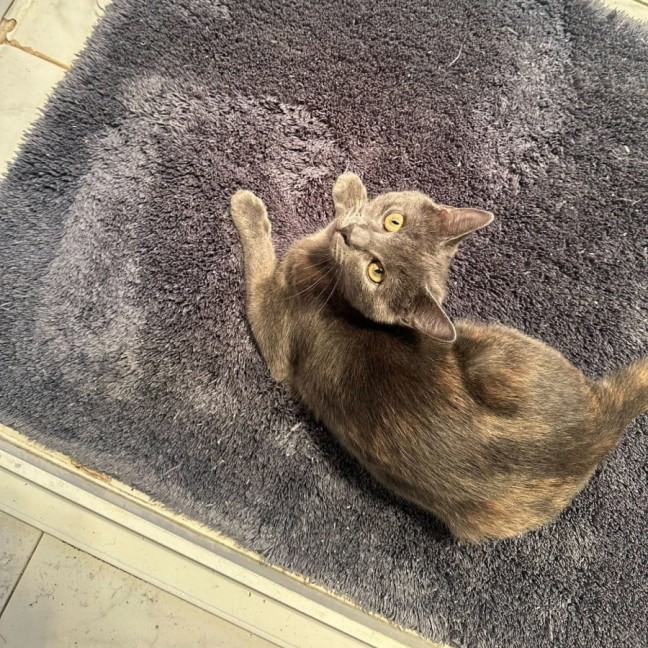 Photo of Chloe